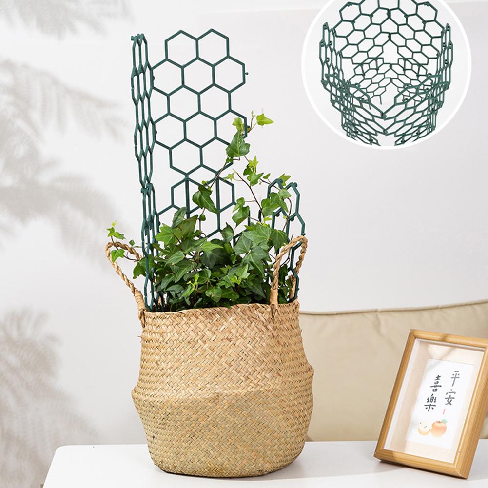 1/2/5Pcs Plastic Plant Support - огляд і ціна Gardening Tools Usa