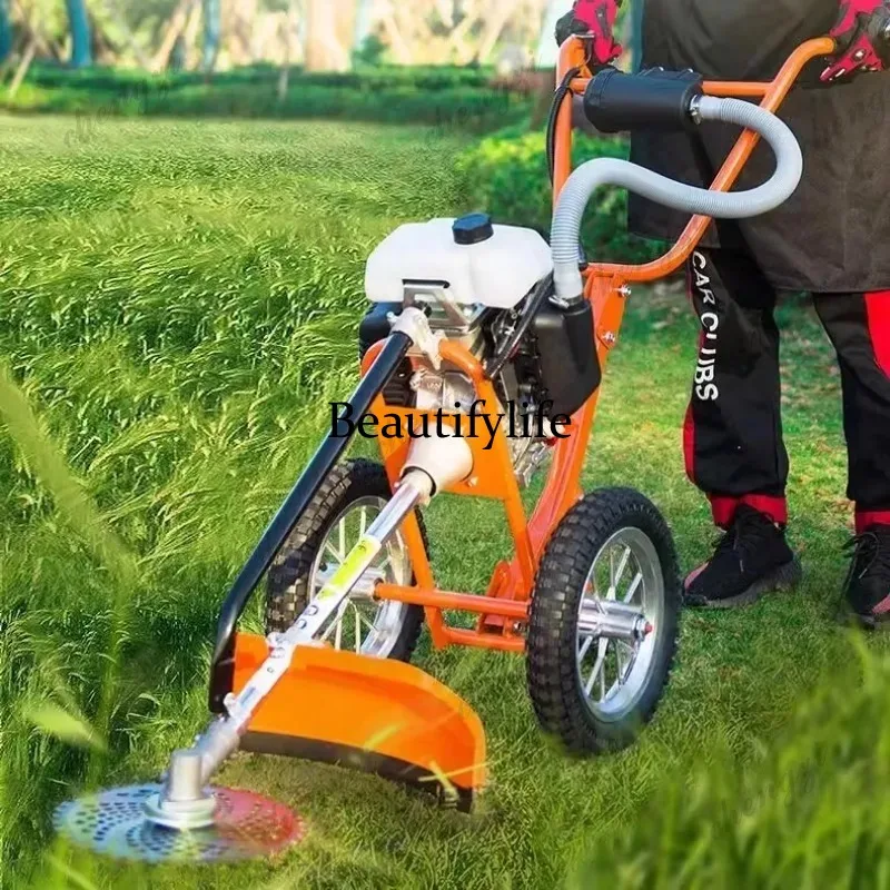 L178 Lawn mower hand push lawn - огляд і ціна Gardening Tools Equipment