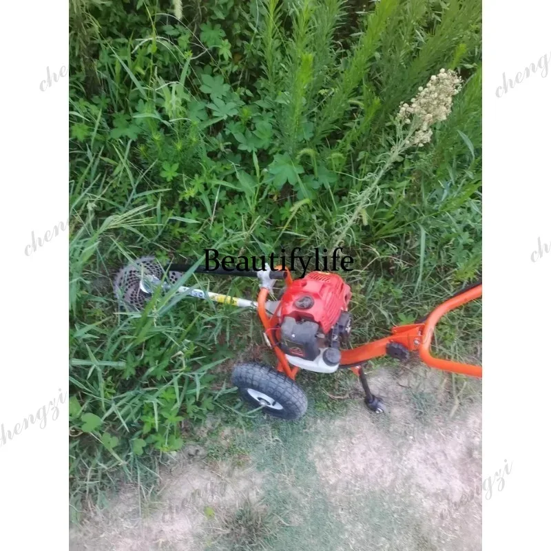 L178 Lawn mower hand push lawn - огляд і ціна Gardening Tools Equipment
