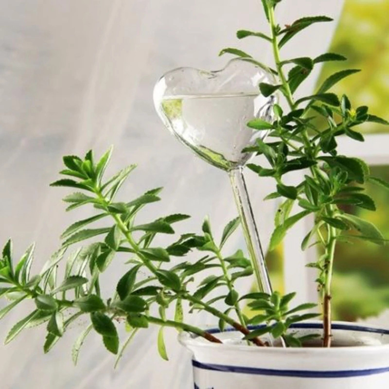 House/Garden Water Houseplant  - огляд і ціна Gardening Tools Equipment