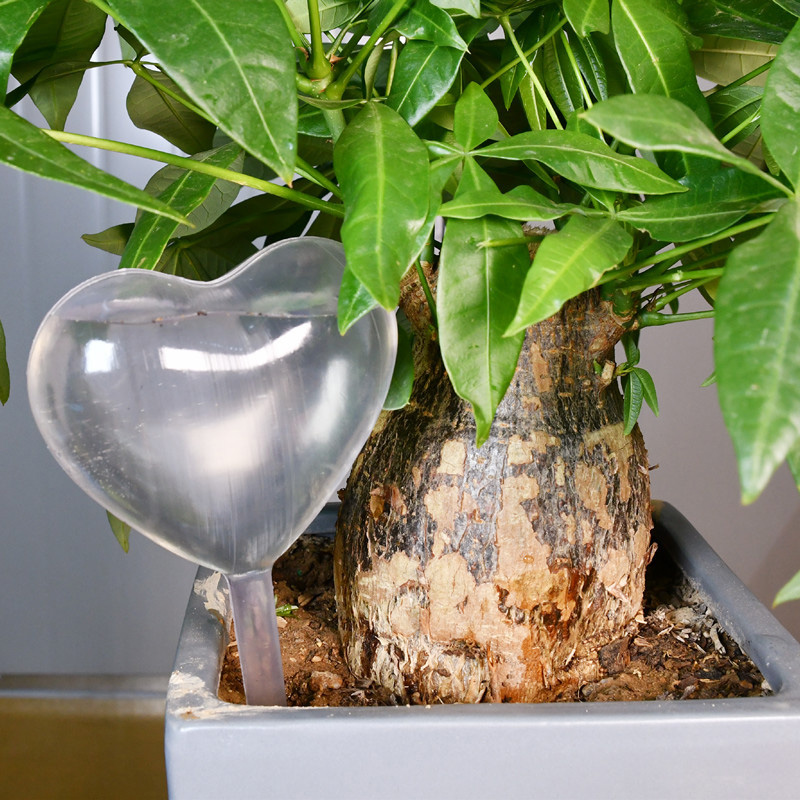 House/Garden Water Houseplant  - огляд і ціна Gardening Tools Equipment