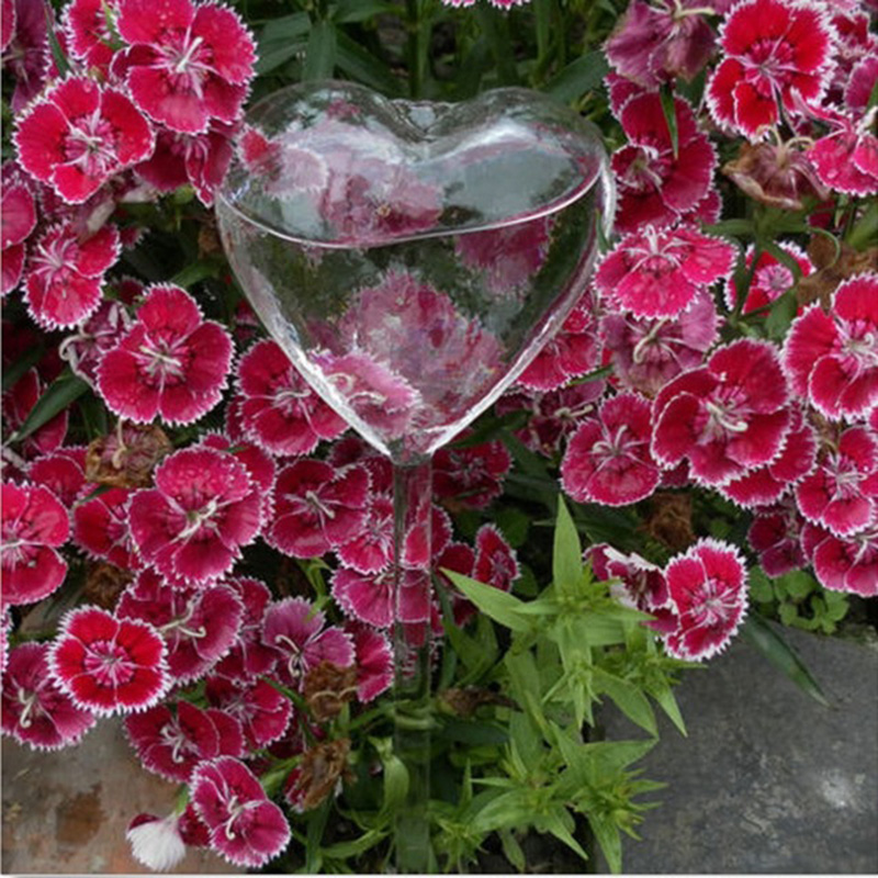 House/Garden Water Houseplant  - огляд і ціна Gardening Tools Equipment