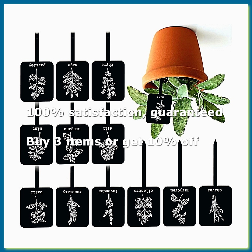 24Pcs Acrylic Plant Label Sign - огляд і ціна Gardening Tools With Names