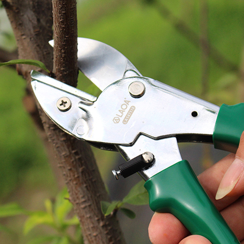 LAOA SK5 Pruning Shears 8inch  - огляд і ціна Gardening Tools Japanese