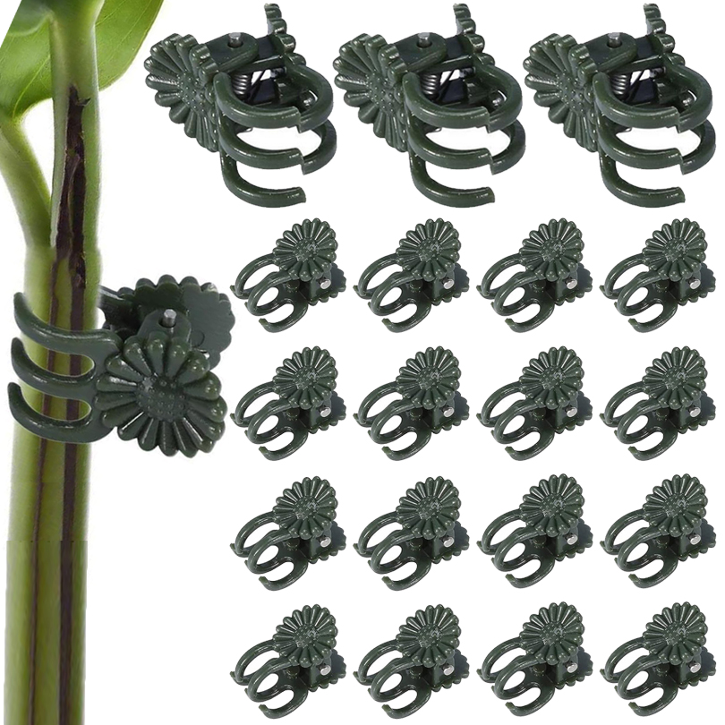 20/50/100PCS Plant Clips Vine  - огляд і ціна Gardening Tools Usa