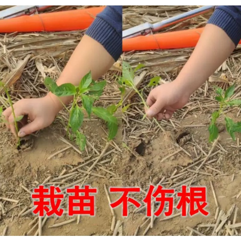 Agricultural Seedling Transpla - огляд і ціна Gardening Tools Equipment