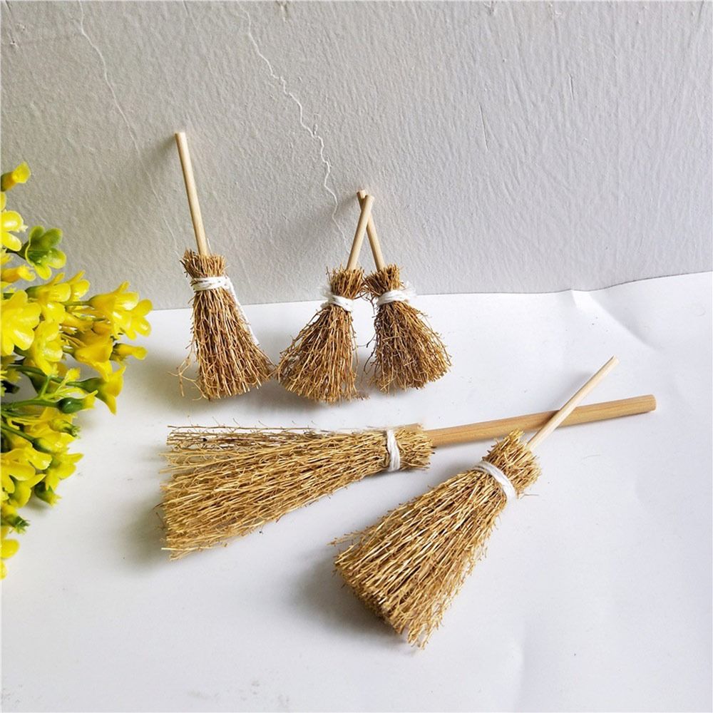 5pcs/Bag New Scene Mini Broom  - огляд і ціна Gardening Tools Usa