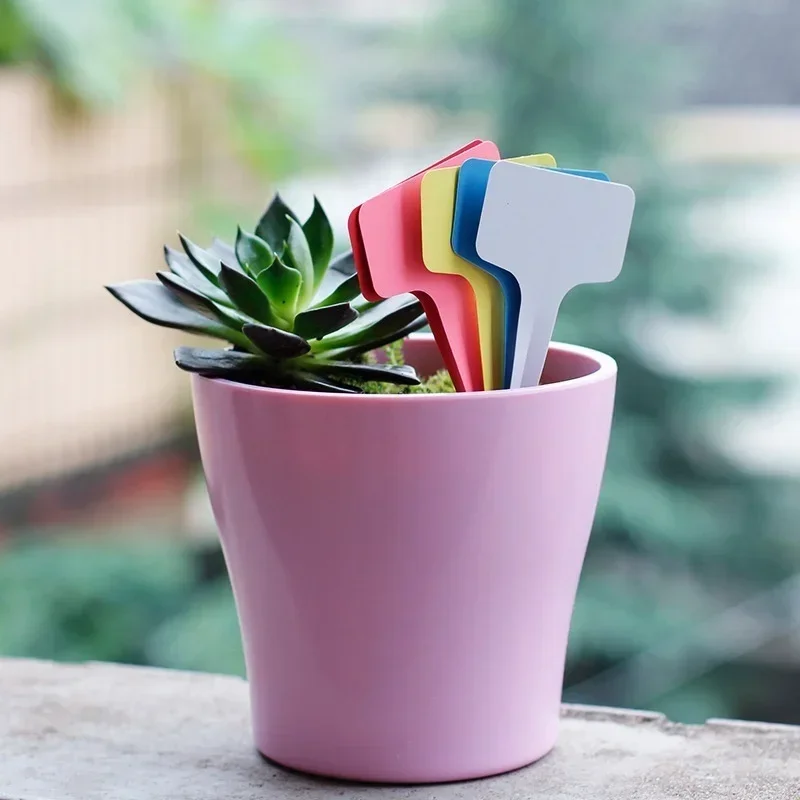20 Pcs Plastic Waterproof Plan - огляд і ціна Gardening Tools With Names
