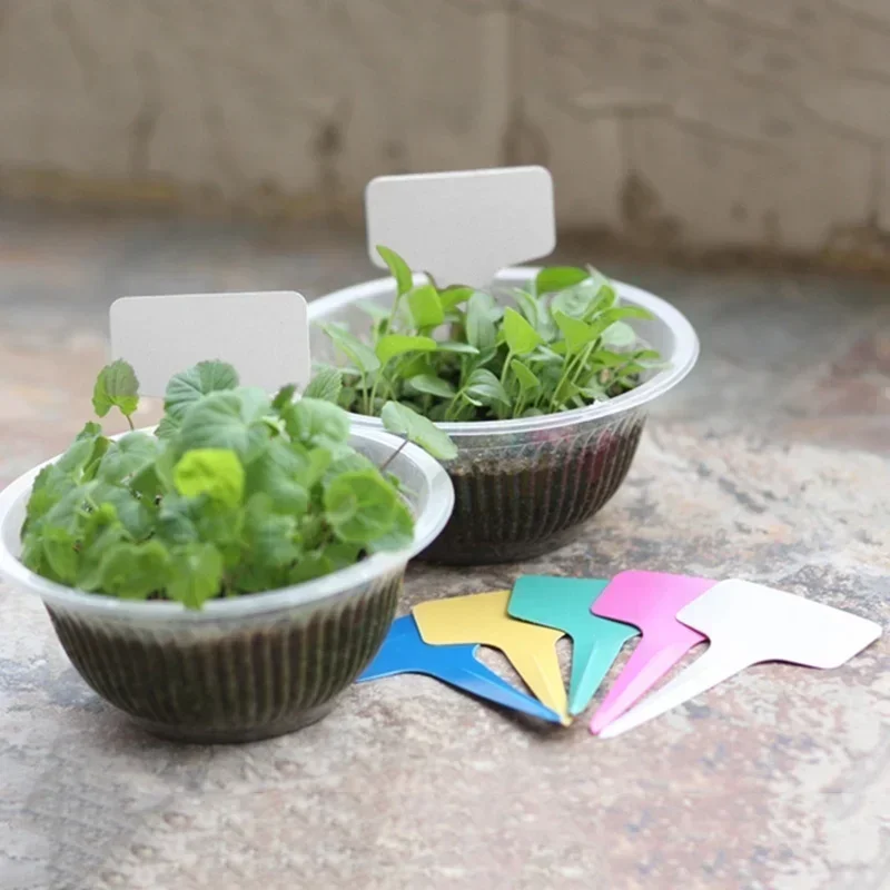 20 Pcs Plastic Waterproof Plan - огляд і ціна Gardening Tools With Names
