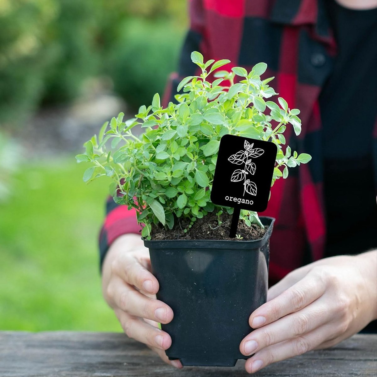 AA14 24Pcs Acrylic Plant Label - огляд і ціна Gardening Tools With Names