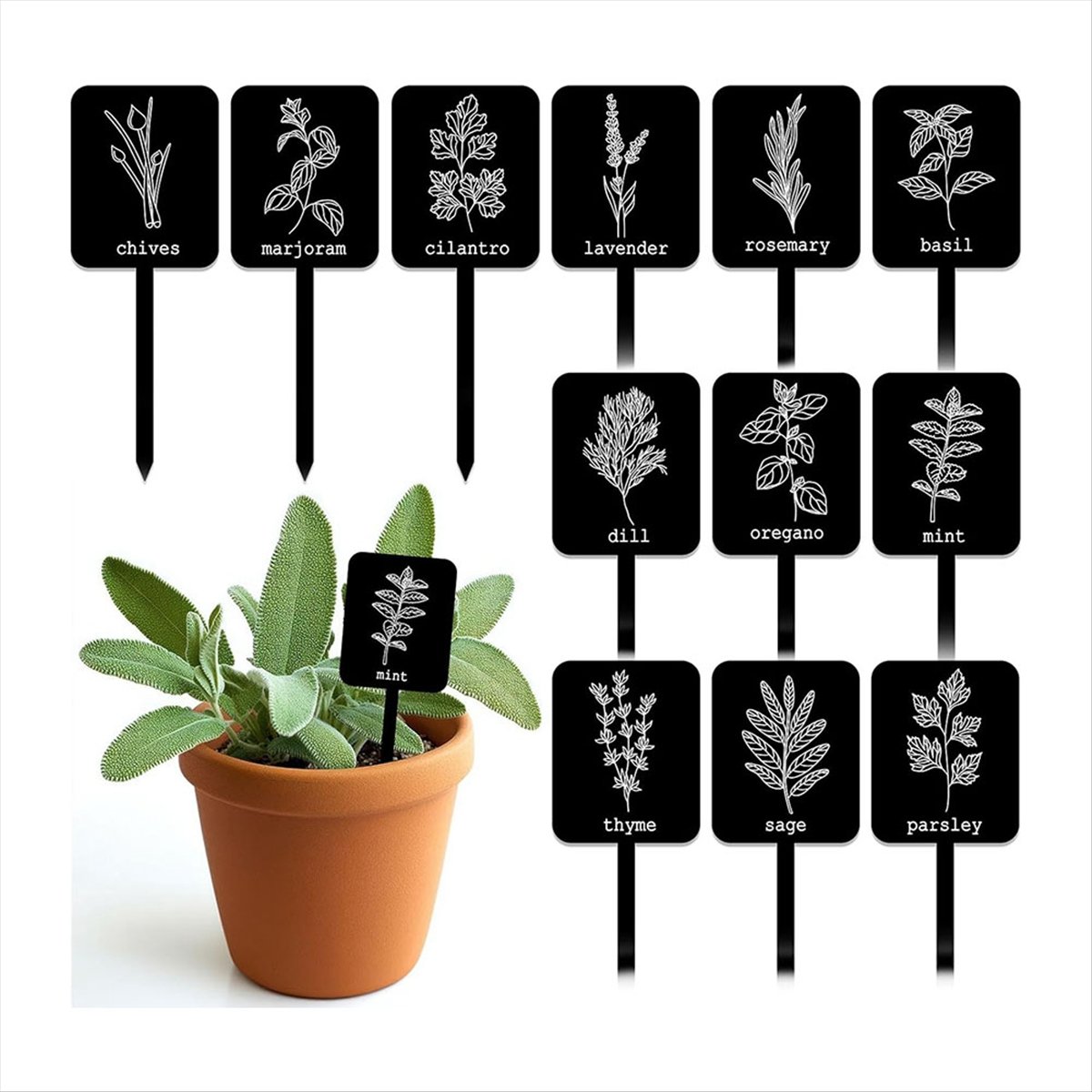 AA14 24Pcs Acrylic Plant Label - огляд і ціна Gardening Tools With Names